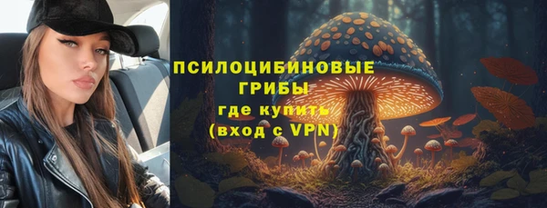 дмт Алексин