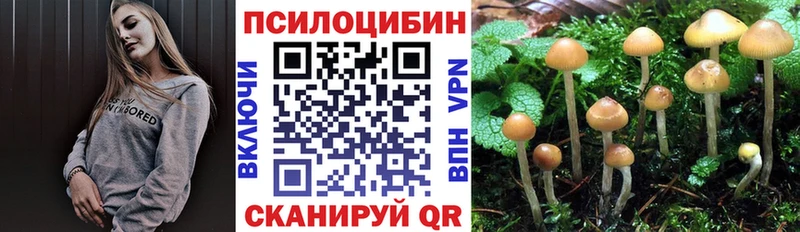 Галлюциногенные грибы GOLDEN TEACHER  цены   Аркадак 