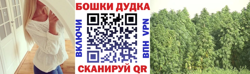 KRAKEN зеркало Аркадак Канабис LSD WEED